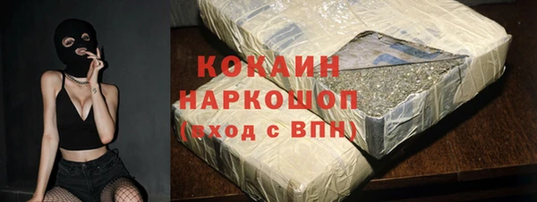 спиды Инта