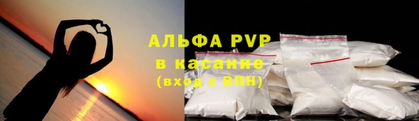 спиды Инта