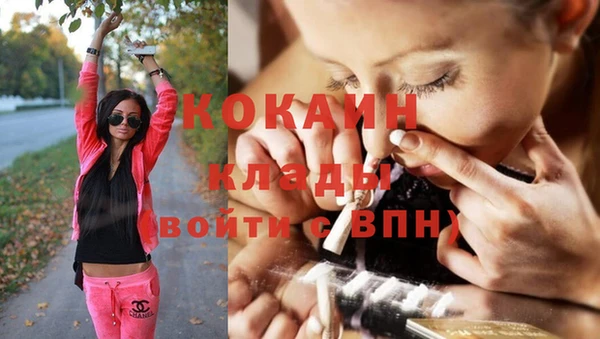 спиды Инта