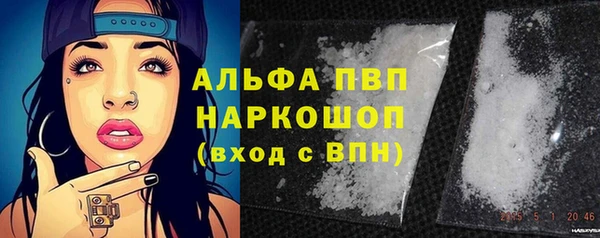 спиды Инта